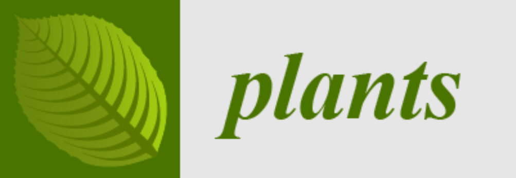 Plants_Logo
